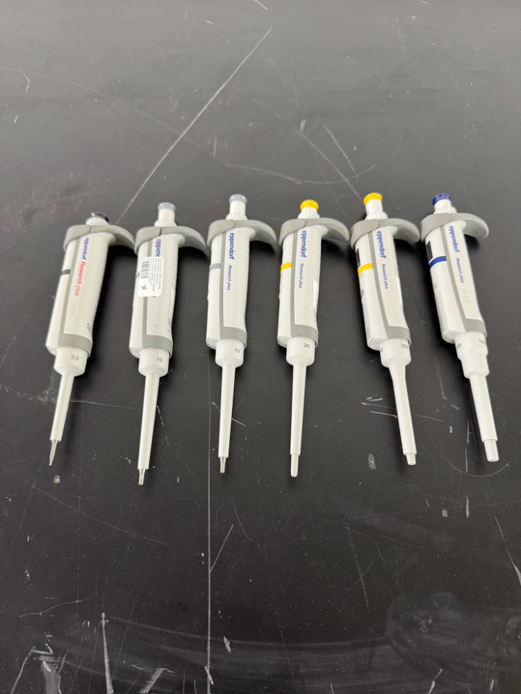 Image of Eppendorf Research Plus Single Channel Pipettes - Quantity 6